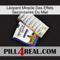 Léopard Miracle Des Effets Secondaires Du Miel 11
